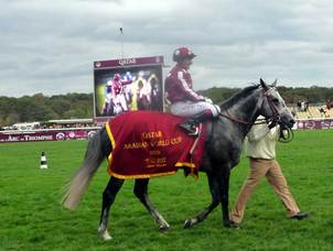 Qatar prix de l'arc de triomphe : Arnaud Bouleau sur General, la classe !