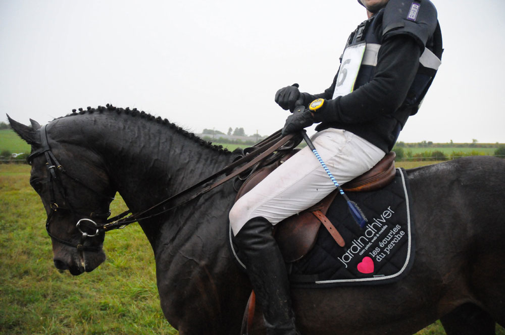 jardin d'hiver se distingue en concours complet d'équitation ! jardin d'hiver se distingue en concours complet d'équitation !