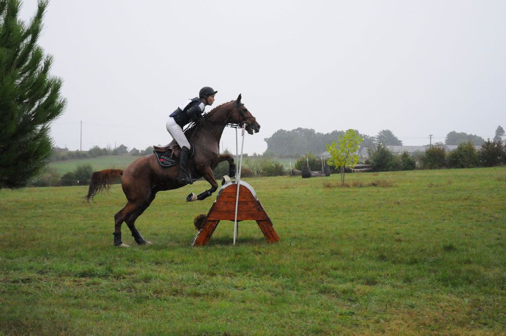 jardin d'hiver se distingue en concours complet d'équitation ! jardin d'hiver se distingue en concours complet d'équitation !